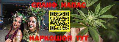 гидропоника Рязань