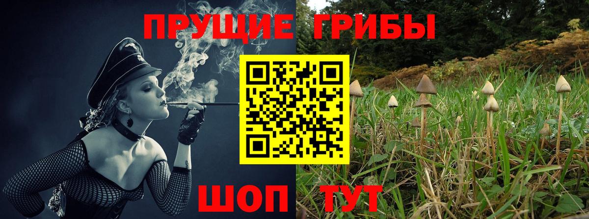 Псилоцибиновые грибы Cubensis  Вход с VPN  Туймазы 